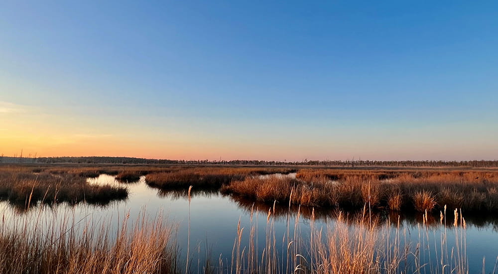 La sostenibilidad en Radiometer